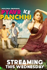 Pyaar Ke Panchhi (2024) S01 Hindi HulChul WEB-DL H264 AAC 1080p 720p 480p Download