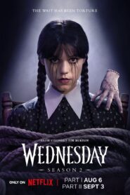 Wednesday (2024) S02 Dual Audio [Hindi ORG-English] NF WEB-DL H264 AAC 1080p 720p 480p ESub