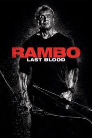 Rambo Last Blood (2019) Dual Audio [Hindi ORG-English] BluRay EXTENDED H264 AAC 1080p 720p 480p ESub