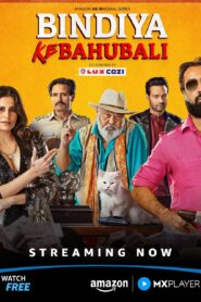 Bindiya Ke Bahubal (2025) S01 Hindi AMZN WEB-DL H264 AAC 1080p 720p 480p Download