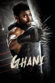 Ghani (2022) Telugu Aha WEB-DL H264 AAC 1080p 720p 480p ESub