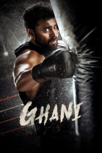 Ghani (2022) Telugu Aha WEB-DL H264 AAC 1080p 720p 480p ESub