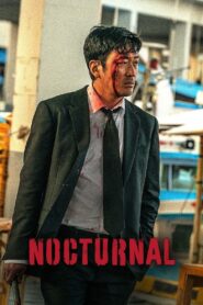 Nocturnal (2025) Hindi JHS WEB-DL H264 AAC 1080p 720p 480p ESub