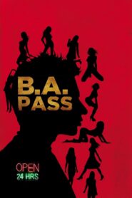 B.A. Pass (2012) Hindi NF WEB-DL H264 AAC 1080p 720p 480p ESub