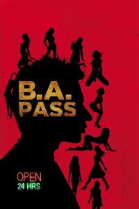 B.A. Pass (2012) Hindi NF WEB-DL H264 AAC 1080p 720p 480p ESub