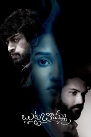 Butta Bomma (2023) Uncut Dual Audio [Hindi ORG-Telugu] WEB-DL H264 AAC 4K 1080 720p 480p ESub