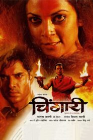 Chingaari (2006) Hindi BluRay H264 AAC 1080p 720p 480p ESub