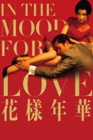 In the Mood for Love (2000) Chinese BluRay H264 AAC 1080p 720p 480p ESub