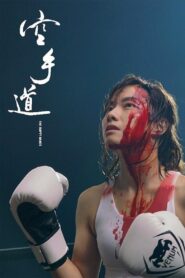 The Empty Hands (2017) Chinese BluRay H264 AAC 1080p 720p ESub