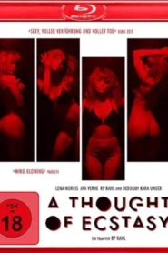 A Thought of Ecstasy (2017) Dual Audio [Hindi ORG-English] BluRay H264 AAC 1080p 720p 480p ESuba