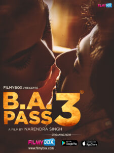 B.A. Pass 3 (2021) Hindi WEB-DL H264 AAC 1080p 720p 480p ESub