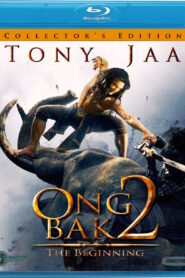 Ong Bak 2 (2008) Dual Audio [Hindi ORG-English] BluRay H264 AAC 1080p 720p 480p ESub