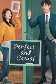 Perfect and Casual (2020) S01 Hindi Dubbed ORG AMZN WEB-DL H264 AAC 1080p 720p 480p ESub