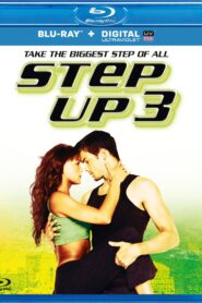 Step Up 3D (2010) Dual Audio [Hindi ORG-English] BluRay H264 AAC 1080p 720p 480p ESub