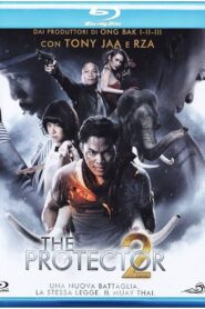 The Protector 2 (2013) Dual Audio [Hindi ORG-Thai] BluRay H264 AAC 1080p 720p 480p ESub