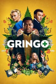 Gringo (2018) Dual Audio [Hindi ORG-English] BluRay H264 AAC 1080p 720p 480p ESub