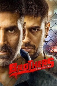 Brothers (2015) Hindi BluRay H264 AAC 1080p 720p 480p ESub