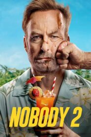 Nobody 2 (2025) Dual Audio [Hindi ORG-English] Amazon WEB-DL H264 AAC 4K 1080p 720p 480p ESub