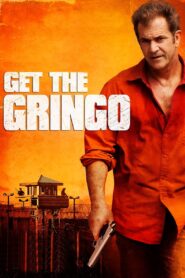 Get the Gringo (2012) Dual Audio [Hindi ORG-English] BluRay H264 AAC 1080p 720p 480p ESub