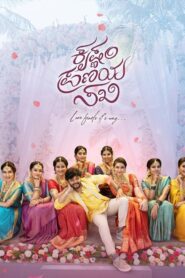 Krishnam Pranaya Sakhi (2024) UNCUT Dual Audio [Hindi ORG-Kannada] SNXT WEB-DL H264 AAC 4K 1080p 720p 480p ESub