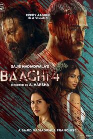 Baaghi 4 (2025) Hindi Amazon WEB-DL H264 AAC 4K 1080p 720p 480p ESub