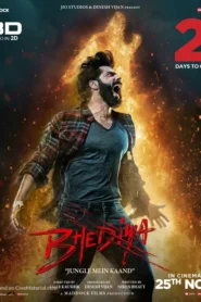 Bhediya (2022) Hindi WEB-DL H264 AAC 1080p 720p 480p ESub