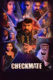 Checkmate (2024) Dual Audio [Hindi ORG-Malayalam] WEB-DL H264 AAC 1080p 720p 480p ESub