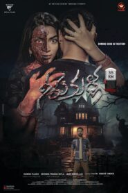 Gadhi (2025) Telugu AMZN WEB-DL H264 AAC 1080p 720p 480p ESub