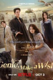 Genie Make a Wish (2025) S01 Hindi ORG NetFlix WEB-DL H264 AAC 1080p 720p 480p ESub