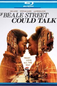 If Beale Street Could Talk (2018) Dual Audio [Hindi ORG-English] BluRay H264 AAC 1080p 720p 480p ESub