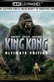 King Kong (2005) Dual Audio [Hindi ORG-English] BluRay H264 AAC 1080p 720p 480p ESub