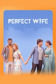 Perfect Wife (2025) Bengali Chorki WEB-DL H264 AAC 1080p 720p ESub