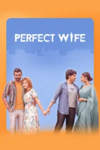 Perfect Wife (2025) Bengali Chorki WEB-DL H264 AAC 1080p 720p ESub