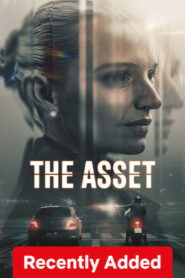 The Asset (2025) S01 Dual Audio [Hindi ORG-Danish] NetFlix WEB-DL H264 AAC 1080p 720p 480p ESub