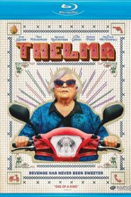 Thelma (2024) Dual Audio [Hindi ORG-English] BluRay H264 AAC 1080p 720p 480p ESub