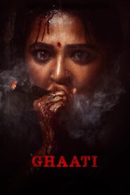 Sheelavathi The Ghaati Queen (2025) Hindi Amazon WEB-DL H264 AAC 1080p 720p 480p ESub