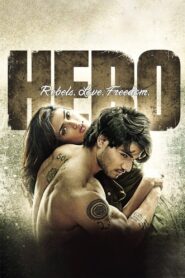 Hero (2015) Hindi NF WEB-DL H264 AAC 1080p 720p 480p ESub
