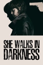 She Walks in Darkness (2025) Dual Audio [Hindi ORG-English] NetFlix WEB-DL H264 AAC 1080p 720p 480p ESub