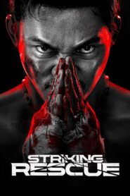 Striking Rescue (2024) Dual Audio [Hindi ORG-Chinese] BluRay H264 AAC 4K 1080p 720p 480p ESub