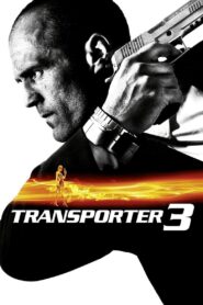 Transporter 3 (2008) Dual Audio [Hindi ORG-English] BluRay H264 AAC 1080p 720p 480p ESub