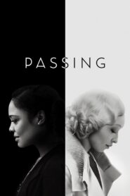 Passing (2021) Dual Audio [Hindi ORG-English] WEB-DL H264 AAC 1080p 720p 480p ESub