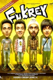 Fukrey (2013) Hindi BluRay H264 AAC 1080p 720p 480p ESub