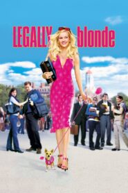 Legally Blonde (2001) English BluRay H264 AAC 1080p 720p ESub