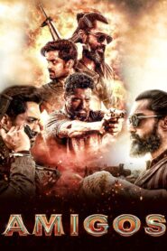 Amigos (2023) Hindi ORG AMZN WEB-DL H264 AAC 1080p 720p 480p ESub