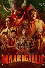 Maarigallu (2025) S01 Kannada Zee5 WEB-DL H264 AAC 1080p 720p 480p Download