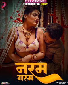 Naram Garam (2025) S01 Hindi PullApp WEB-DL H264 AAC 1080p 720p 480p Download