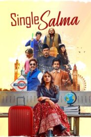 Single Salma (2025) Hindi Netflix WEB-DL H264 AAC 1080p 720p 480p ESub