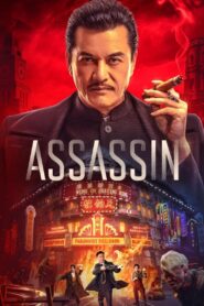 Assassin (2025) Hindi Dubbed ORG JHS WEB-DL H264 AAC 1080p 720p 480p ESub