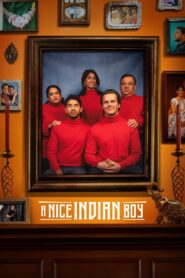 A Nice Indian Boy (2025) Dual Audio [Hindi ORG-English] Amazon WEB-DL H264 AAC 1080p 720p 480p ESub