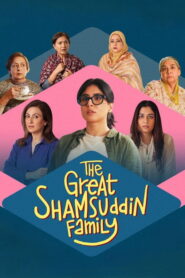 The Great Shamsuddin Family (2025) Hindi JHS WEB-DL H264 AAC 4K 1080p 720p 480p ESub
